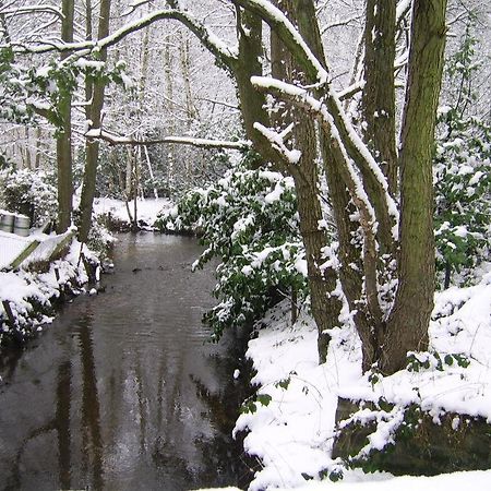 Bosbeekvallei Opoeteren Exteriér fotografie