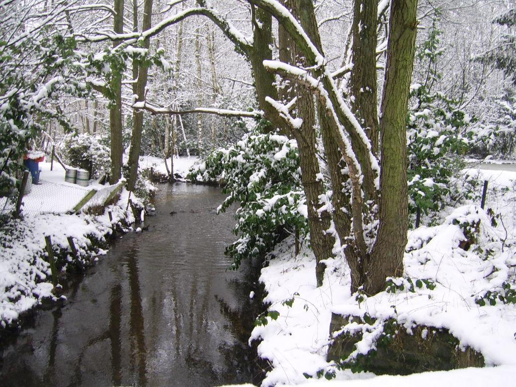 Bosbeekvallei Opoeteren Exteriér fotografie