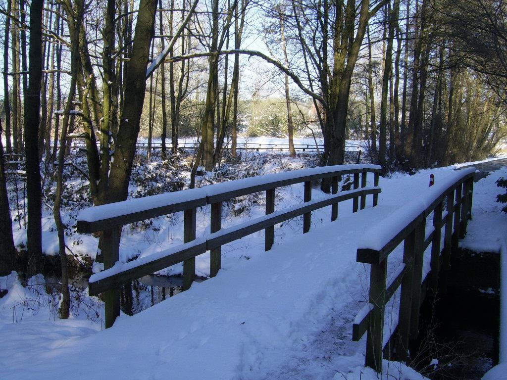 Bosbeekvallei Opoeteren Exteriér fotografie
