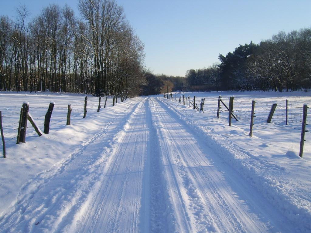 Bosbeekvallei Opoeteren Exteriér fotografie